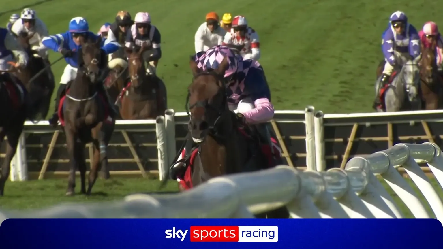 Image accompanying: Pioneer Pete dominates the 'Welsh Champion' Hurdle | Full Race Replay