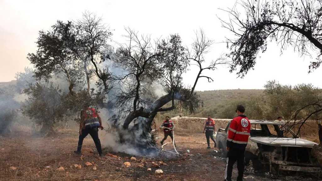 Image accompanying: US journalist injured during Israeli settler attack on West Bank olive harvest
