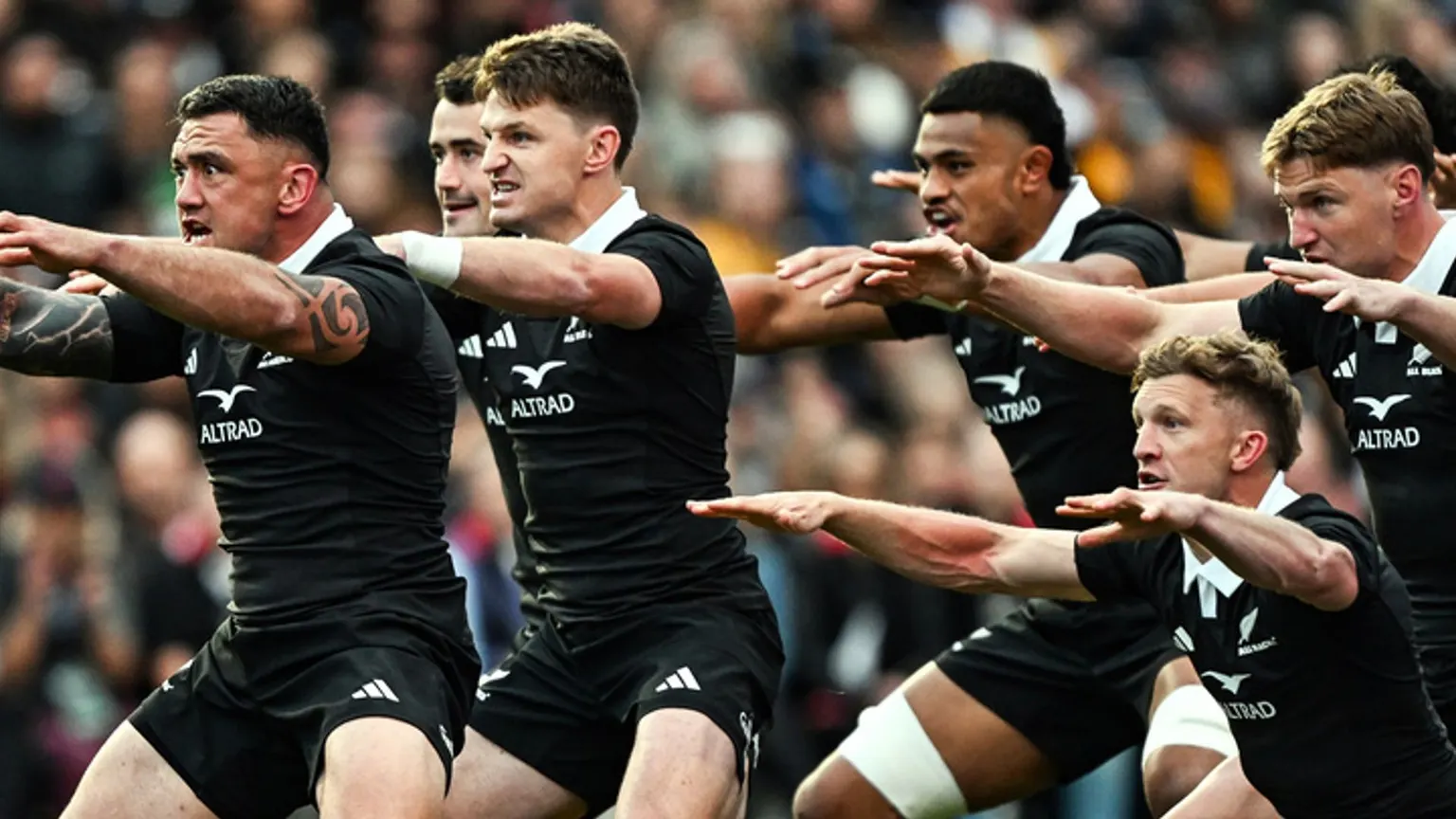 Image accompanying: New Zealand vs Australia LIVE! All Blacks score again to take firm control