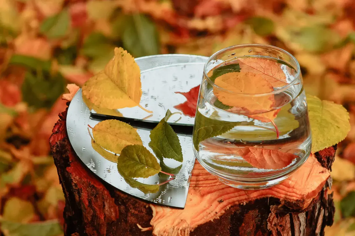 Image accompanying: UAE autumn temperature forecast: what to expect until December