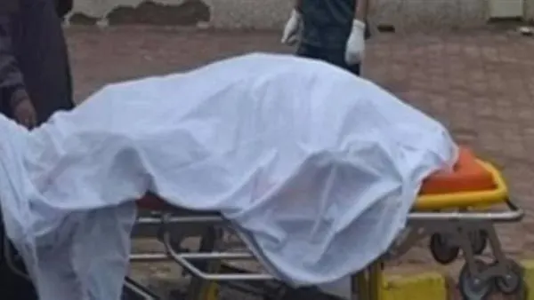 صورة مرافقة للخبر: مصرع شخص إثر وقوع حادث تصادم أمام نادي بلقاس بالدقهلية
