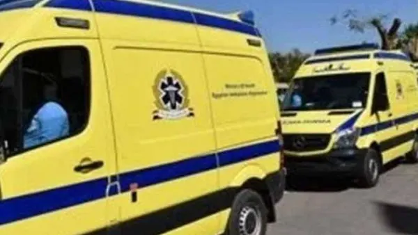 صورة مرافقة للخبر: بالأسماء.. التفاصيل الكاملة لمصرع شخصين وإصابة 9 في حادث تصادم بصحراوي المنيا