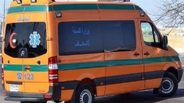 صورة مرافقة للخبر: على غرار طالبة الصف، الأمن يكشف مصير فتاة المريوطية بعد تغيبها عن المنزل