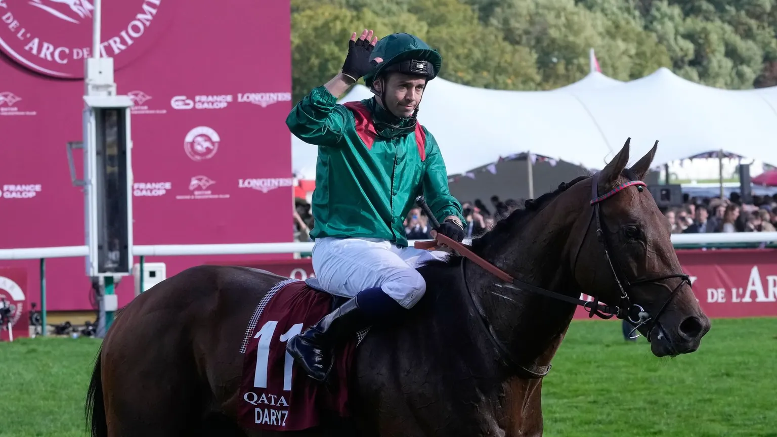 Image accompanying: Dual Arc hero Daryz retired to stud