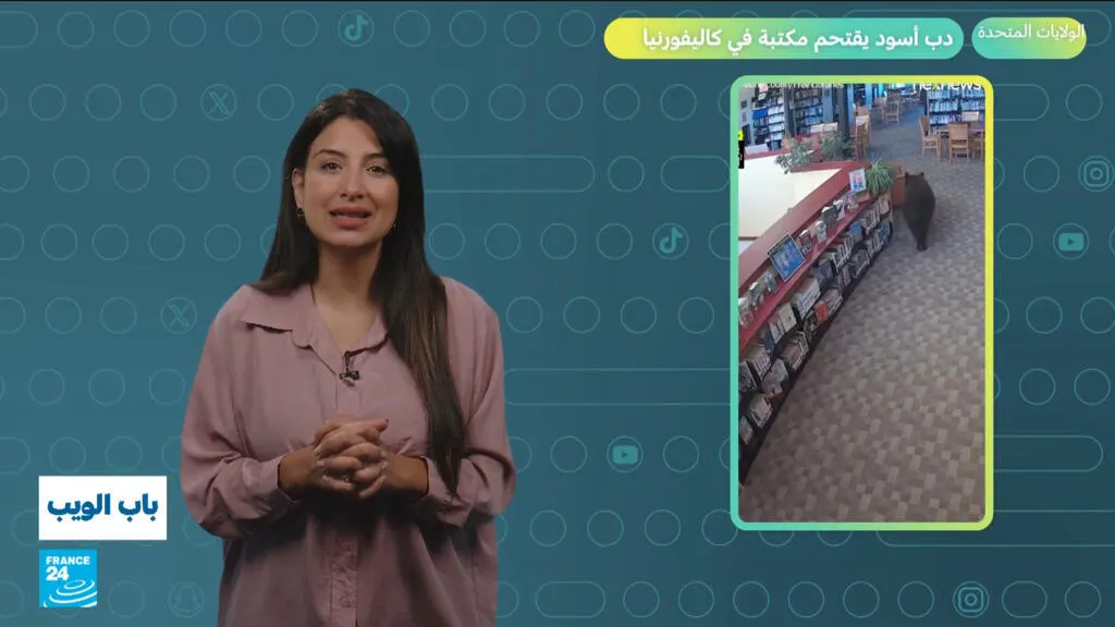 صورة مرافقة للخبر: الولايات المتحدة.. دب أسود يقتحم مكتبة في كاليفورنيا