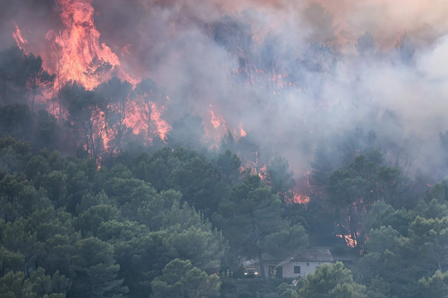 Image accompanying: France’s summer wildfires could cost insurers up to 563 mln euros