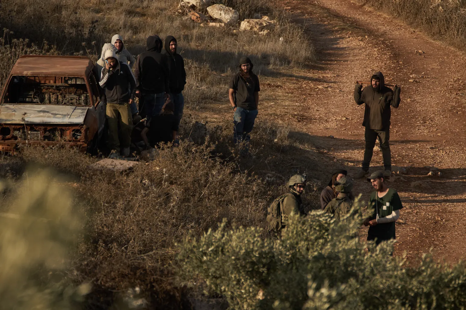 Image accompanying: Israeli forces detain, interrogate 95 Palestinians amid West Bank olive harvest, rights group says