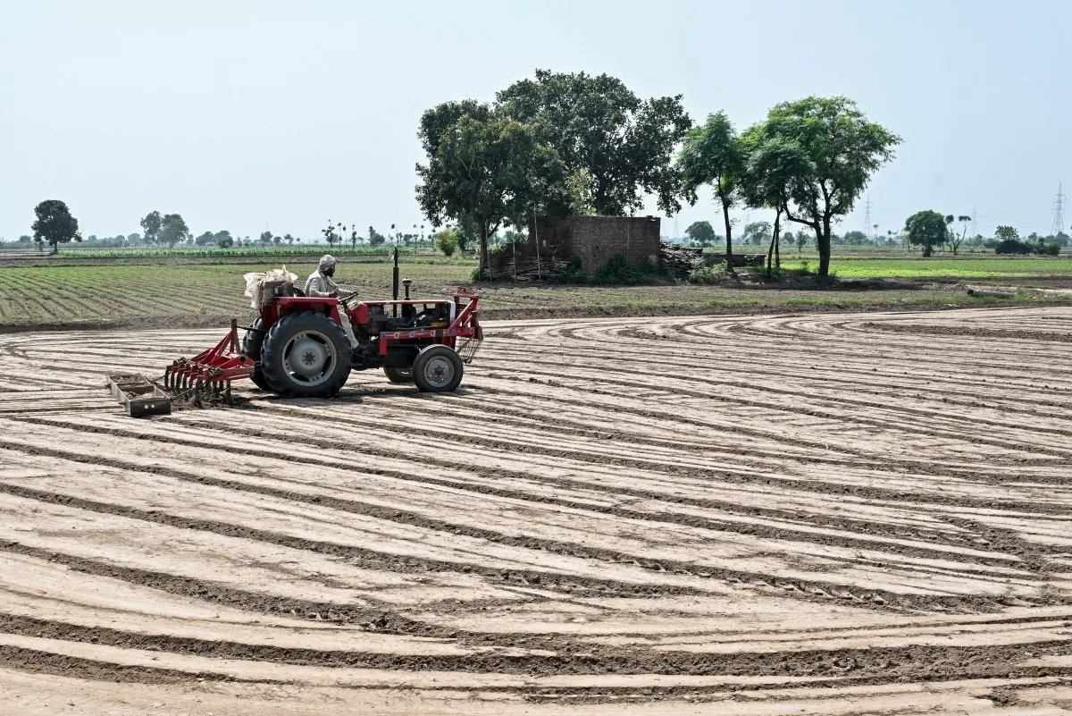 Image accompanying: Food crisis ‘looming’ after global energy shock, UN agriculture fund says