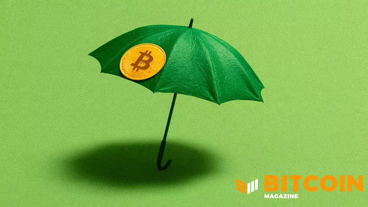 صورة مرافقة للخبر: شركة ناشئة خاضعة لتنظيم برمودا، من بين داعميها Bain Capital Crypto وسام ألتمان، جمعت أكثر من 180 مليون دولار