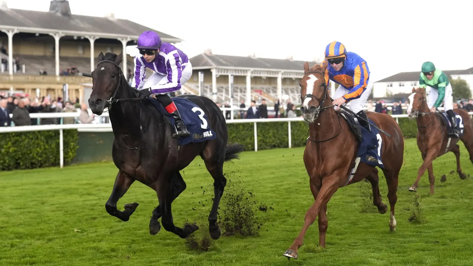 Image accompanying: Futurity Trophy: Jamie Lynch's runner guide