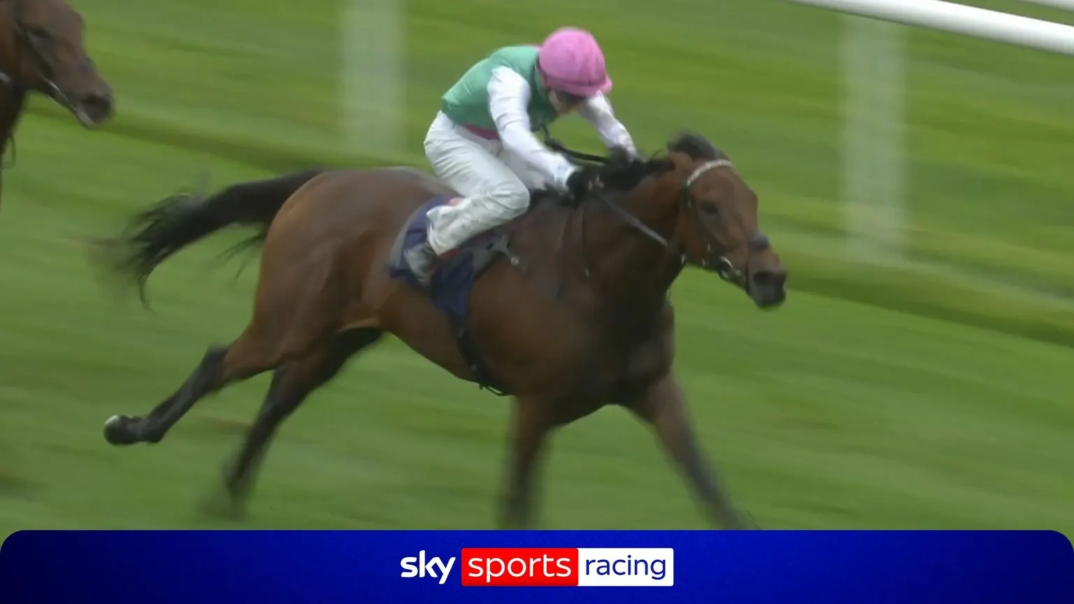 Image accompanying: A star of the future? | Watch Enable's son Entrust impress on debut at Doncaster...