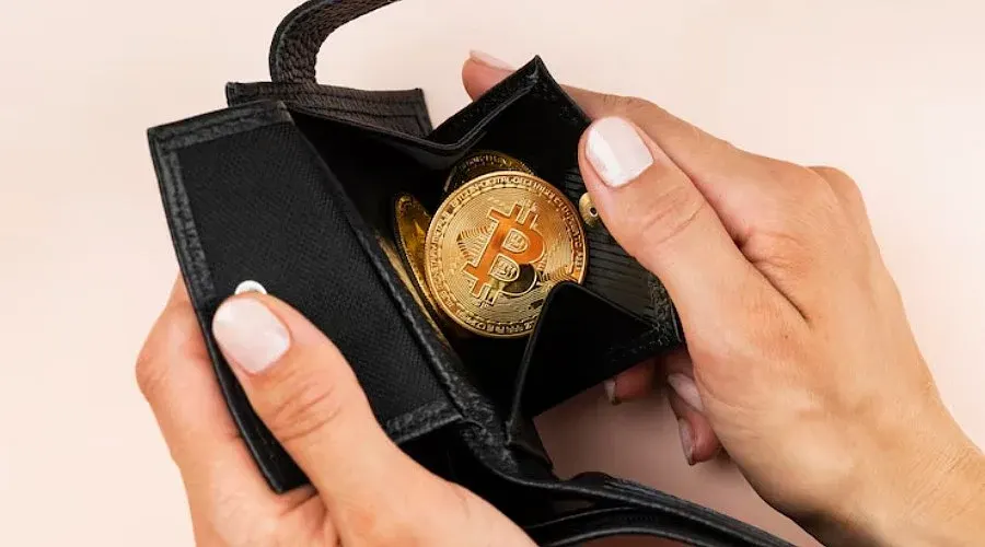 صورة مرافقة للخبر: لماذا لا تزال محافظ بيتكوين الخاملة منذ زمن بعيد مهمة لسوق العملات المشفرة